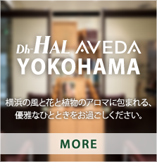 Dh-HAL AVEDA YOKOHAMA